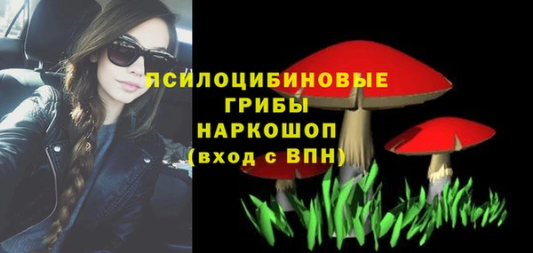 мдма Белокуриха