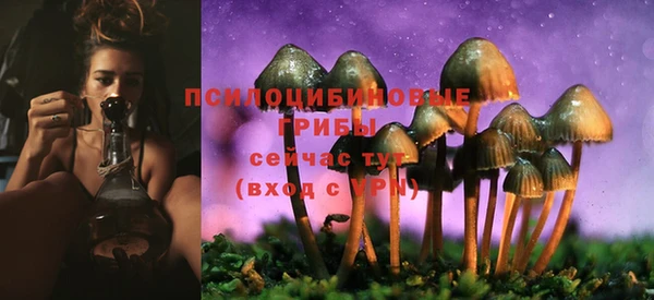 мдма Белокуриха